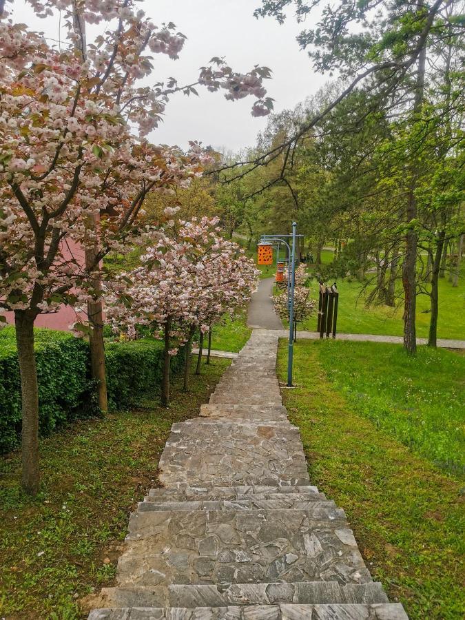 Apartman Japanski Vrt, Centar Vrnjačka Banja Eksteriør billede
